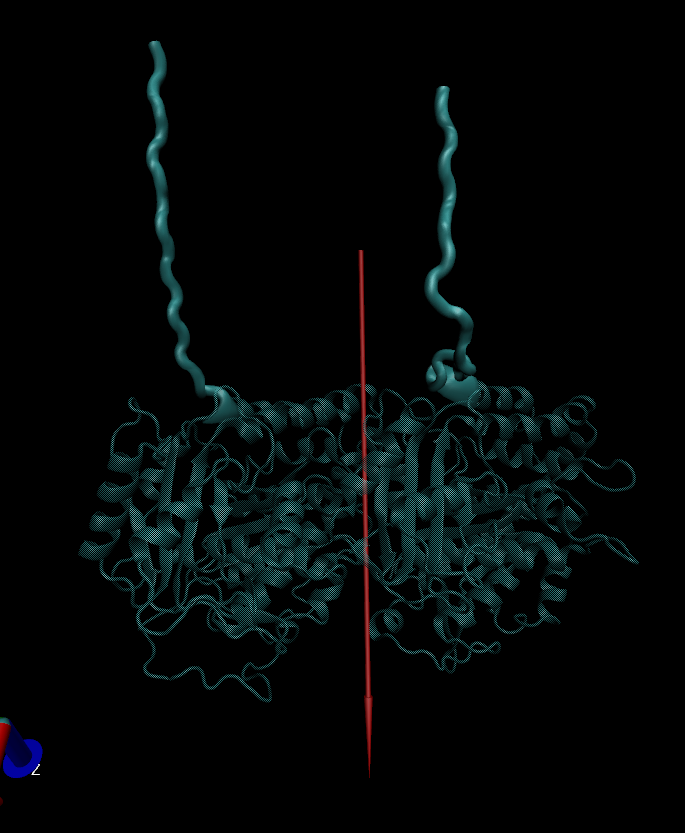 Starting position Tubulin molecule at start