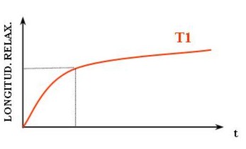 T1 Relaxation Curve